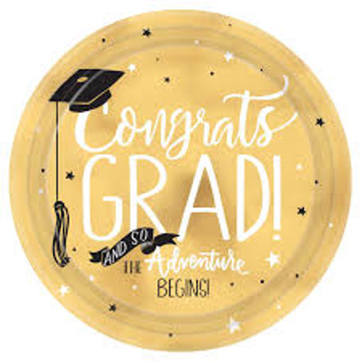 Picture of GRADUATION METALLIC PAPER PLATES - 8PK